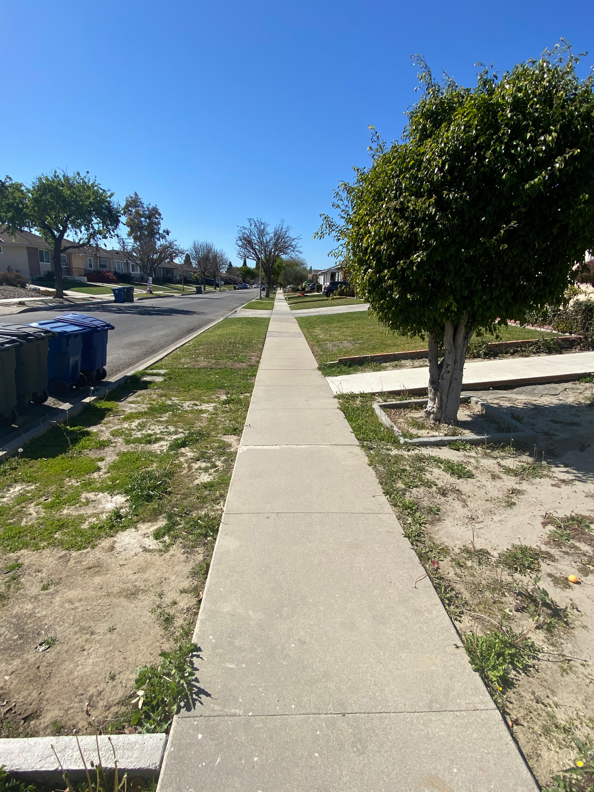 Artificial grass (turf) front yard transformation