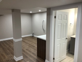 Transitional basement photo in Toronto