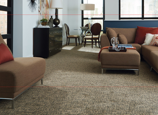 Shaw Flooring Gallery modern-wohnbereich