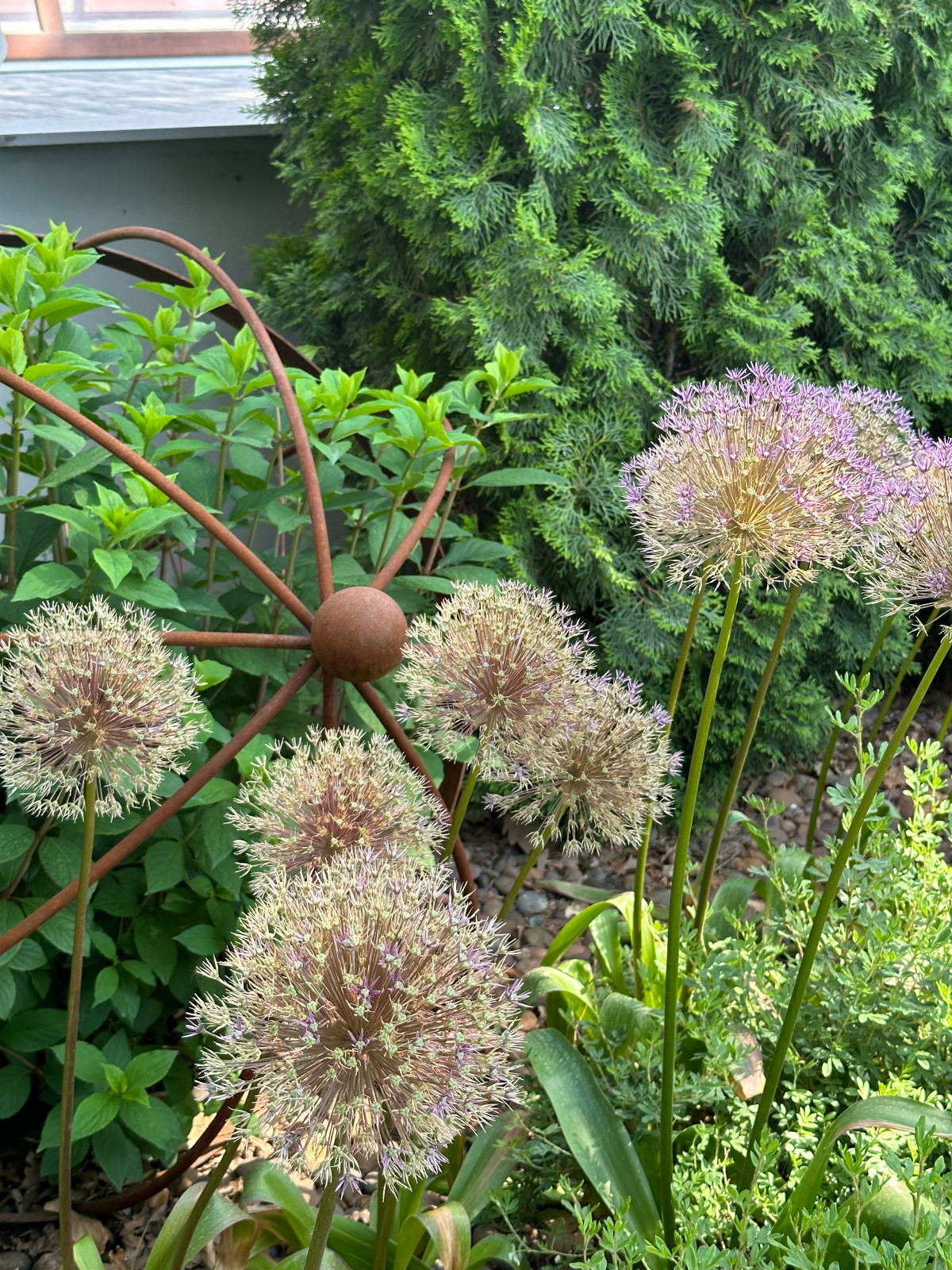 Современный сад