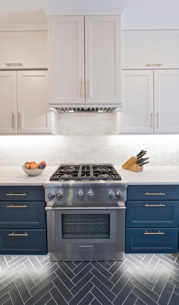 Historic Stanton Park Renovation in Capitol Hill, DC - Traditional ...