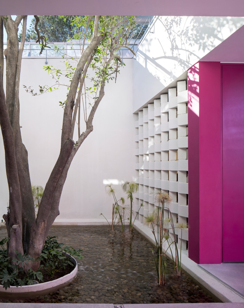 Ejemplo de patio actual en patio delantero con fuente