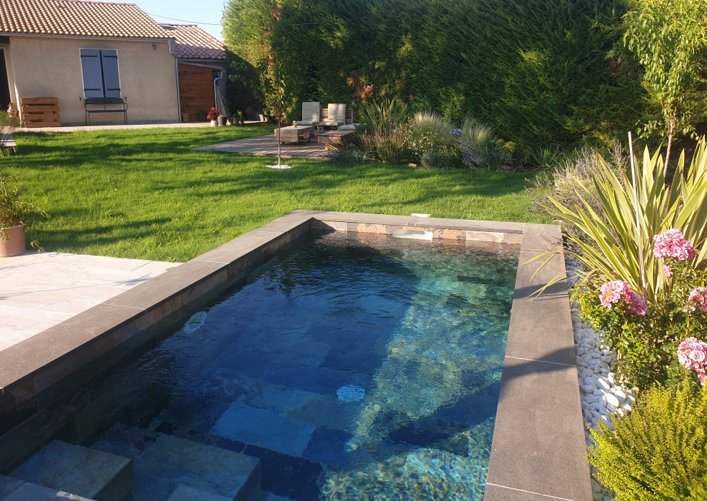 Jardin contemporain avec mini-piscine