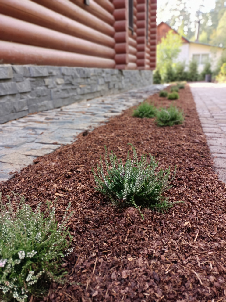 Лесная сказка в Мичуринском