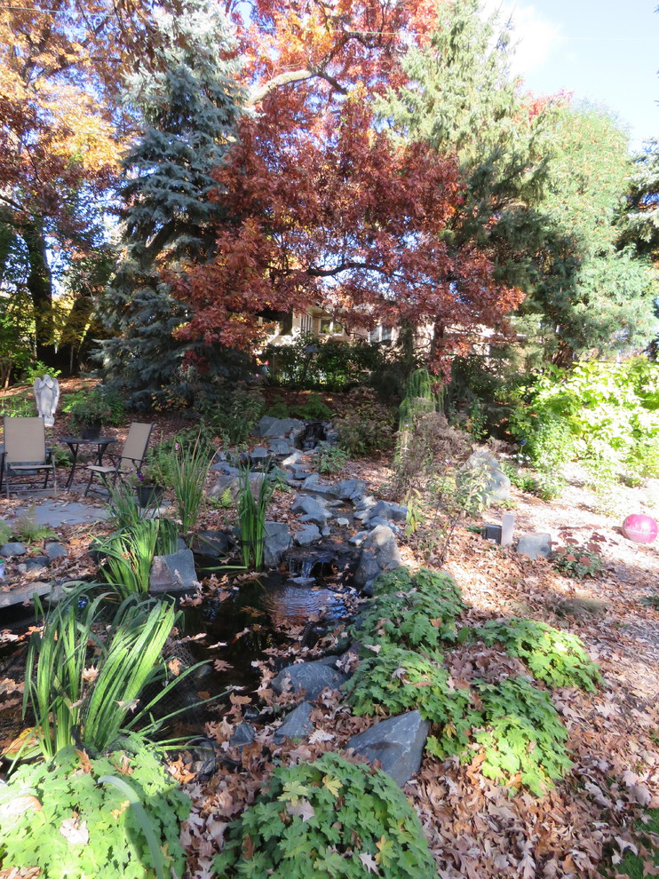Whimsical Oasis