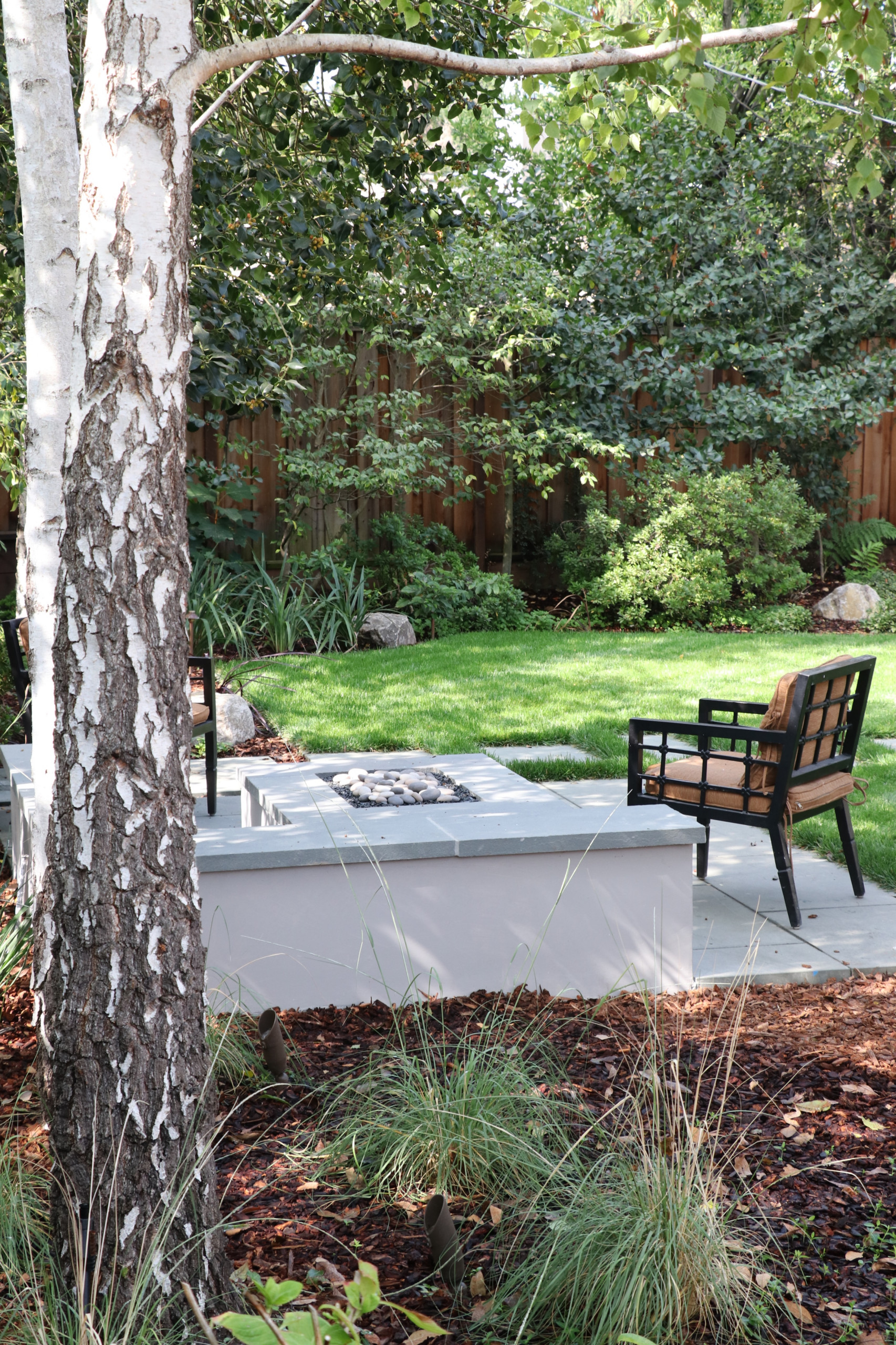 SWEDISH FLAME IN WOODS