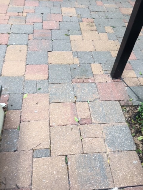 Rerouting Irrigation Lines Under Pavers