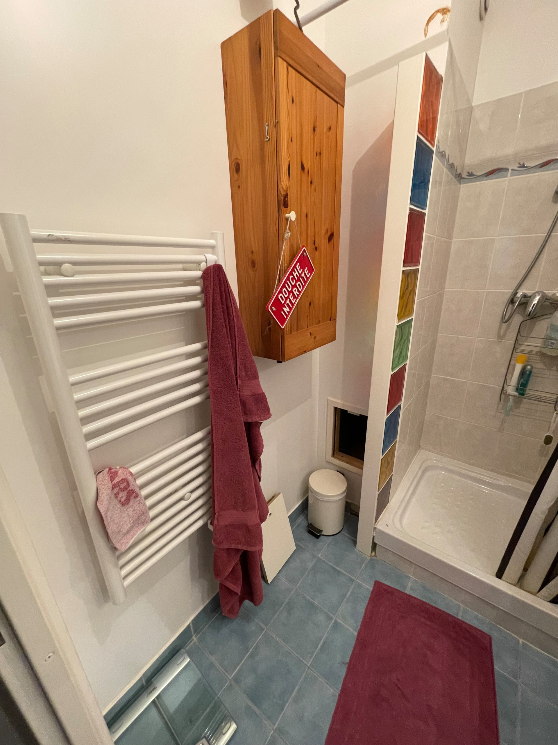SALLE D'EAU: receveur extra-plat et niche porte-accessoires