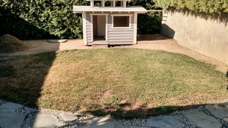 Before and After: 3 Yards Lose Lawns for Inviting Gardens (9 photos)
