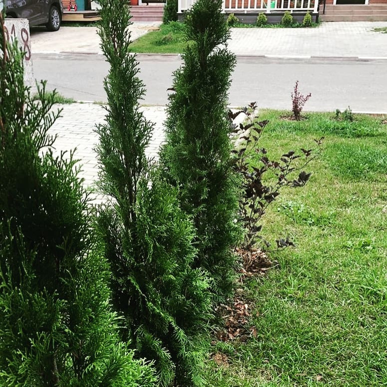 зона отдыха у таунхауса