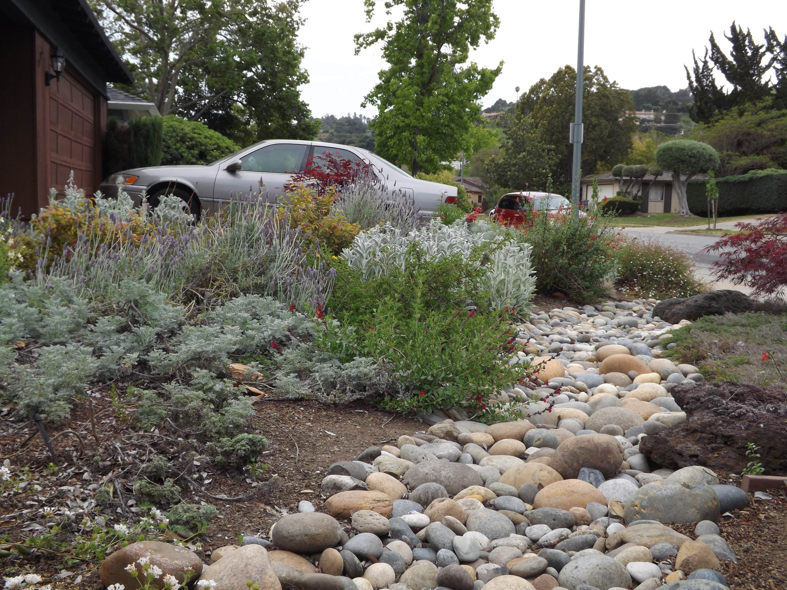 Low water butterfly garden