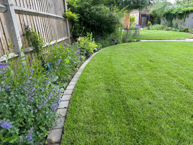 Drought tolerant planting scheme garden