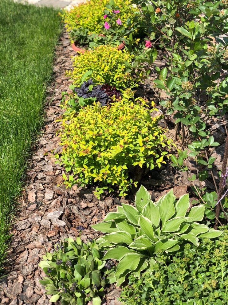 Проектирование цветников 2018-2020