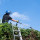 Rotherham Hedge Trimming