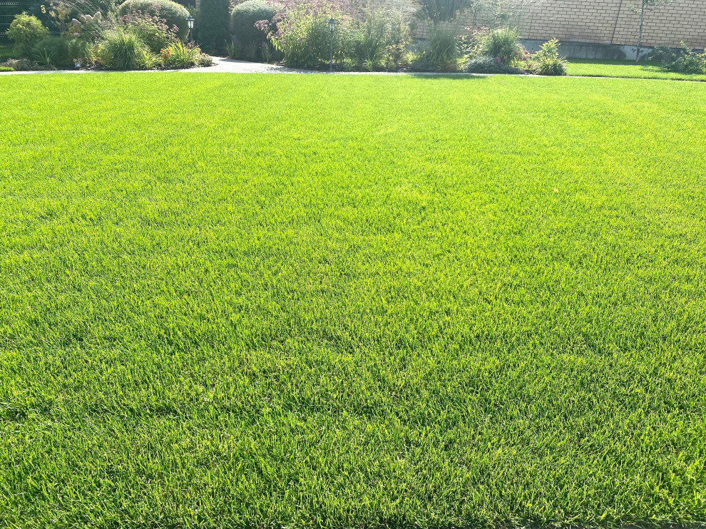 Ландшафтный дизайн