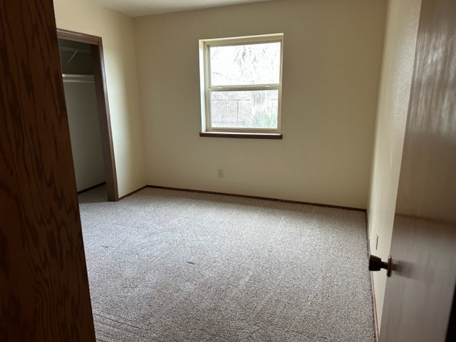 Whole Home Renovation