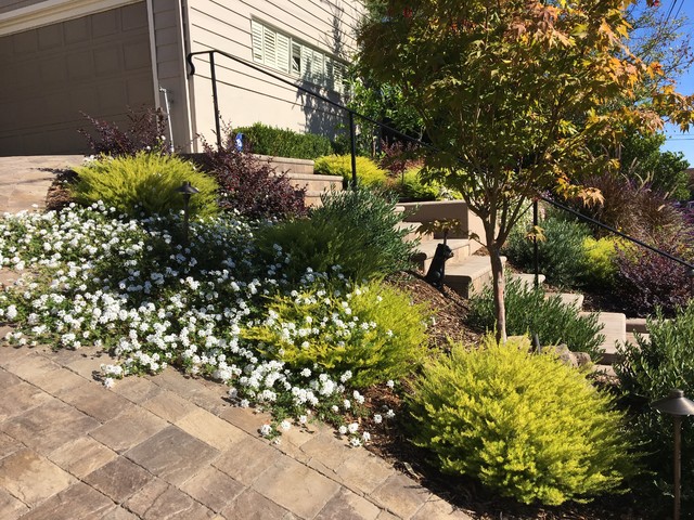 Fall Color contemporary-garden