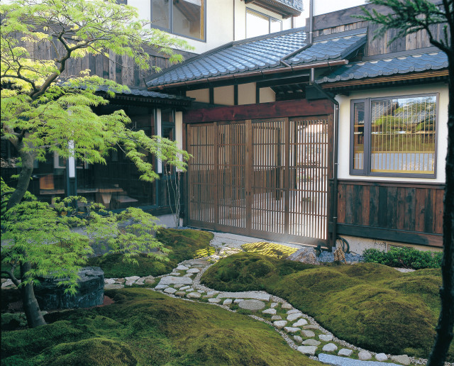 フリープラン patio