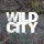 Wild City Studio