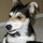 kathy_parrish71