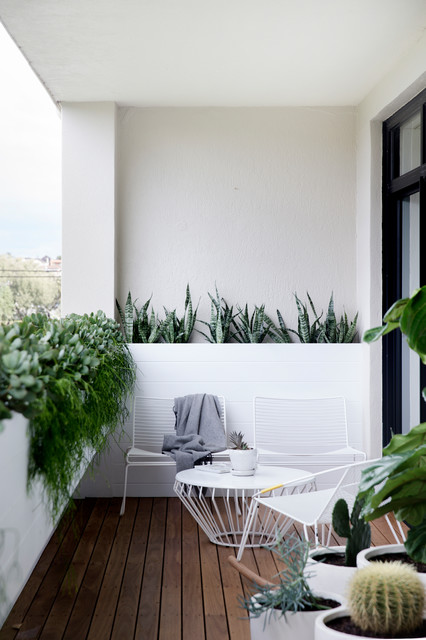 Vaucluse moderno