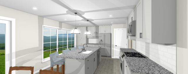 Forry Kitchen transitional