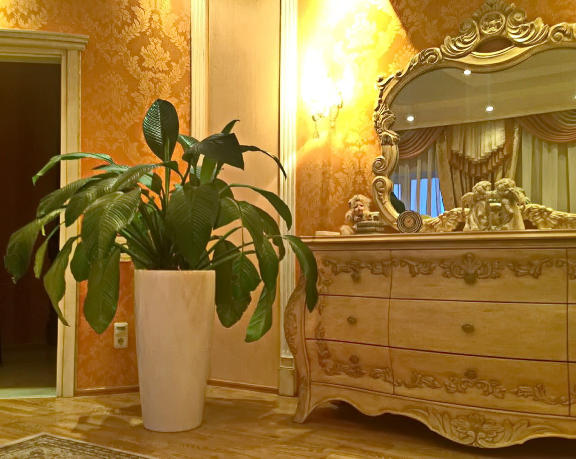 Озеленение частных квартир