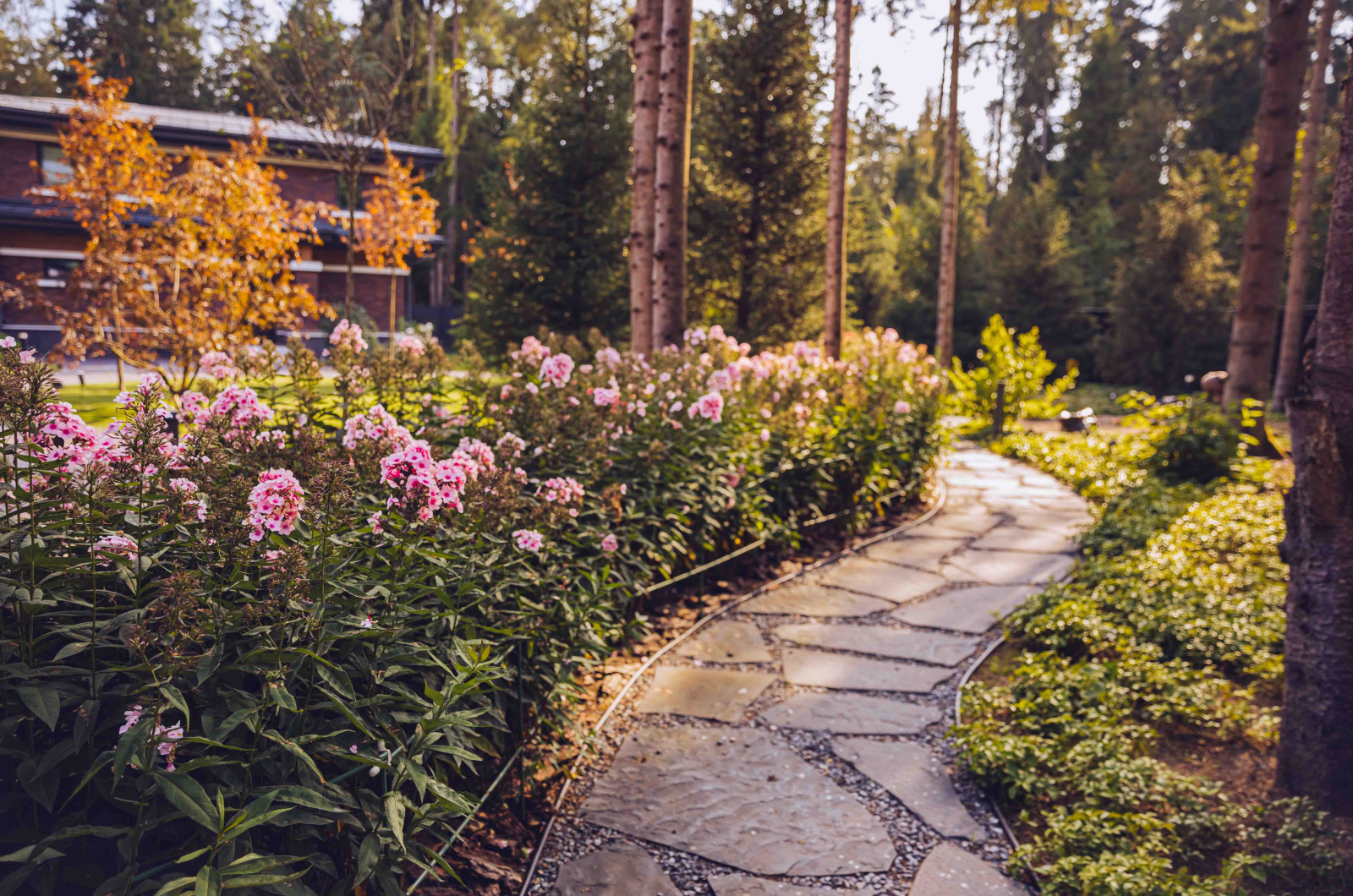 Архитектурное Решение в Пейзажном Стиле