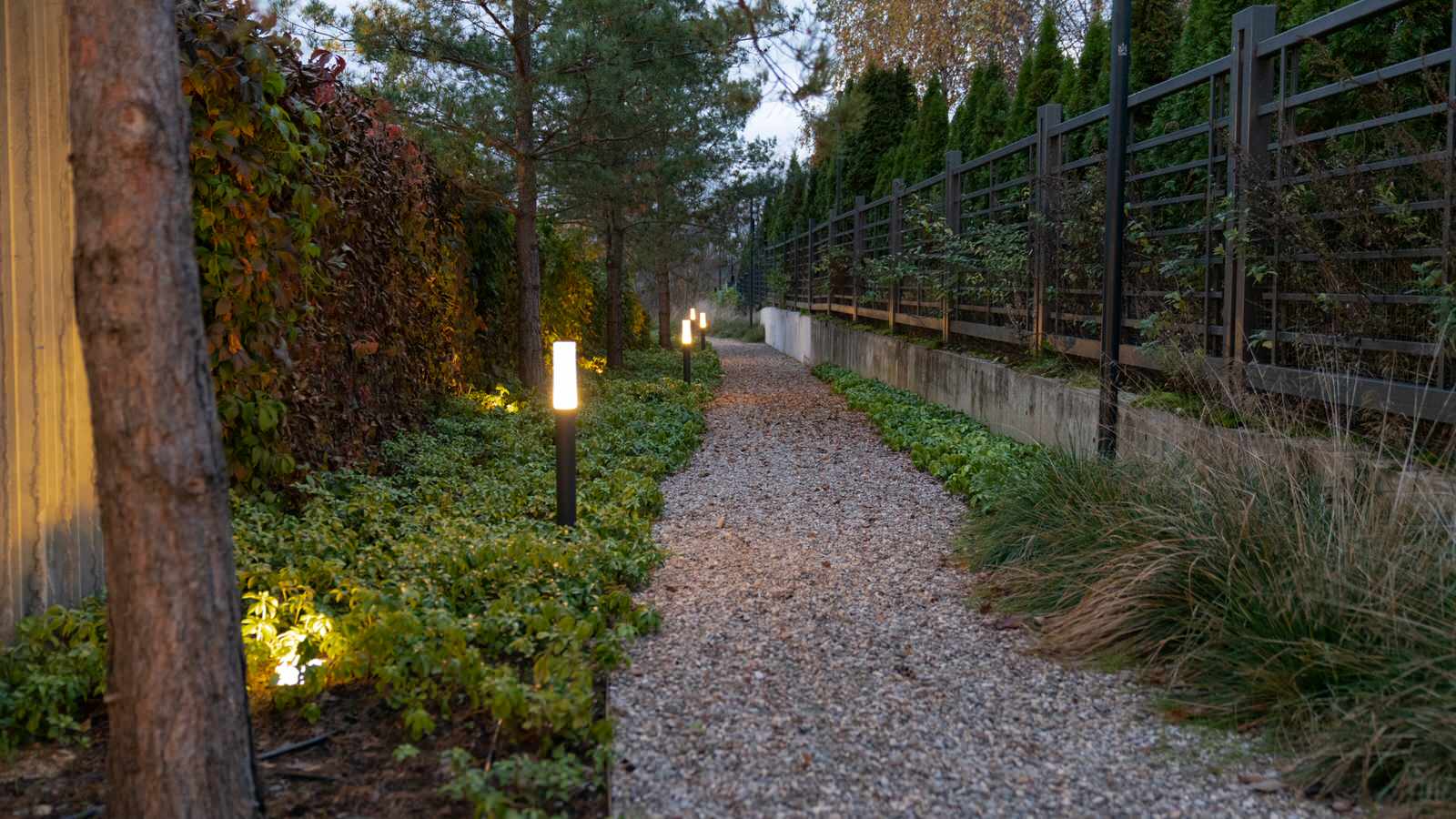 Природный сад. Жуковка XXI век. 2017-2018 гг.