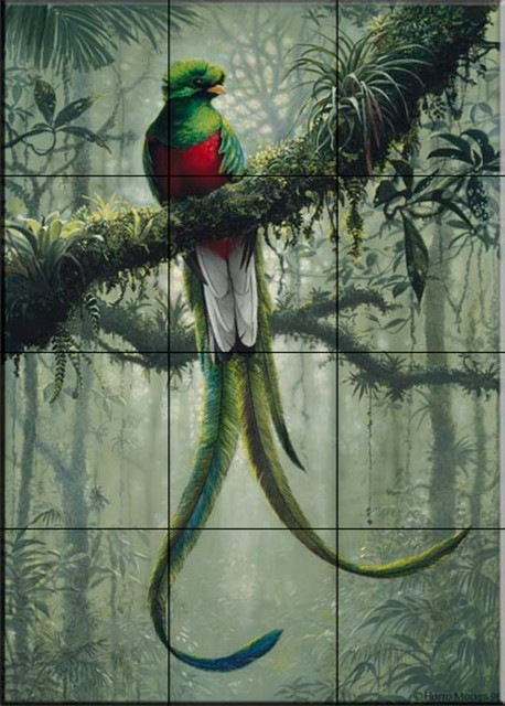 Tile Mural, Resplendent Quetzal 2, Kitchen Backsplash Ideas, 12.75"x17"