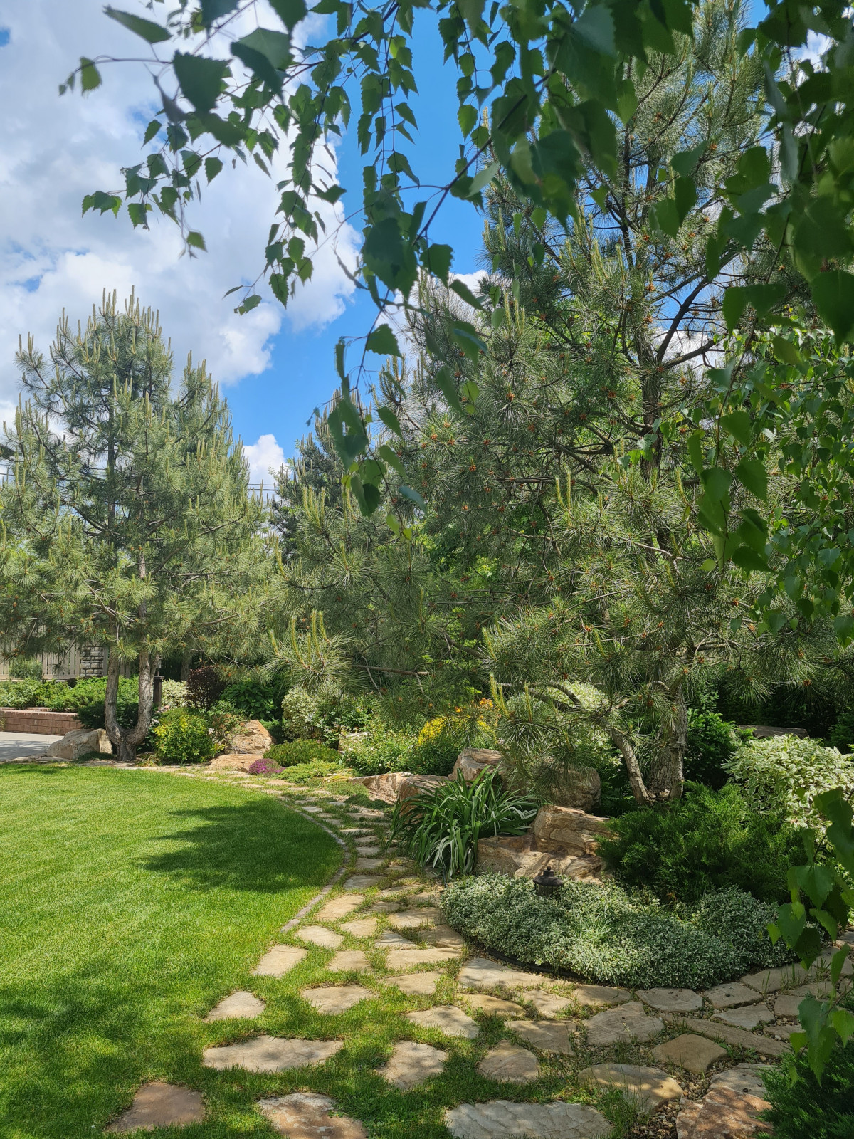 Лесная опушка