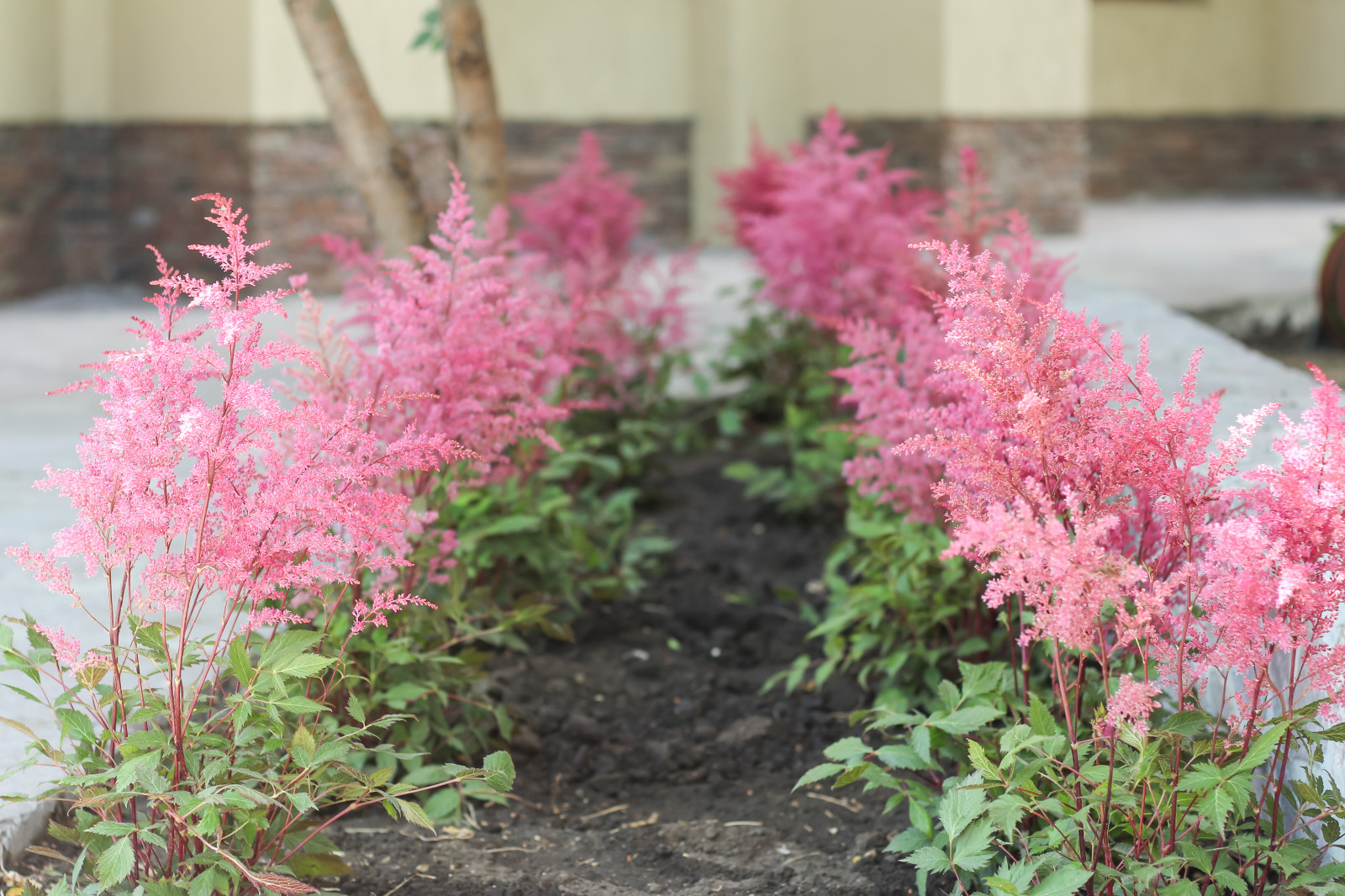 пос.Малая Царевщина