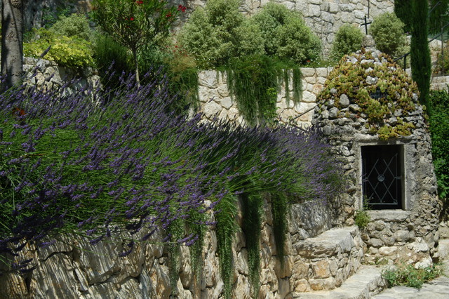 Lavanda: Así debes cuidar a la reina de las aromáticas