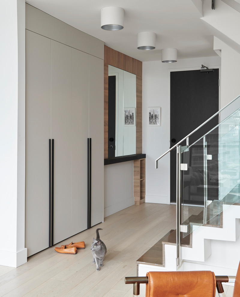 Ejemplo de distribuidor contemporáneo de tamaño medio con paredes blancas, suelo de madera clara, puerta simple, puerta negra y suelo beige