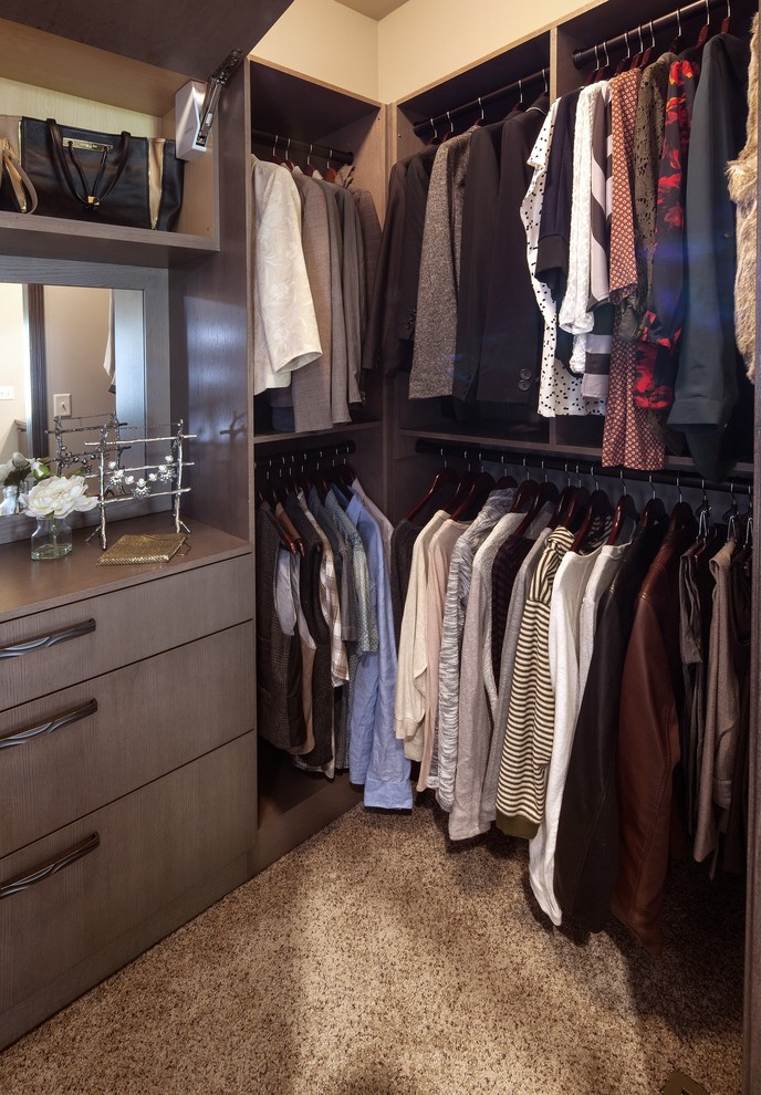 Photo of a storage and wardrobe in Other with carpet.