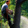 Pearland tree service