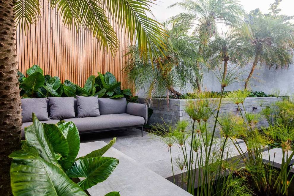 Photo of a contemporary backyard patio in Melbourne.