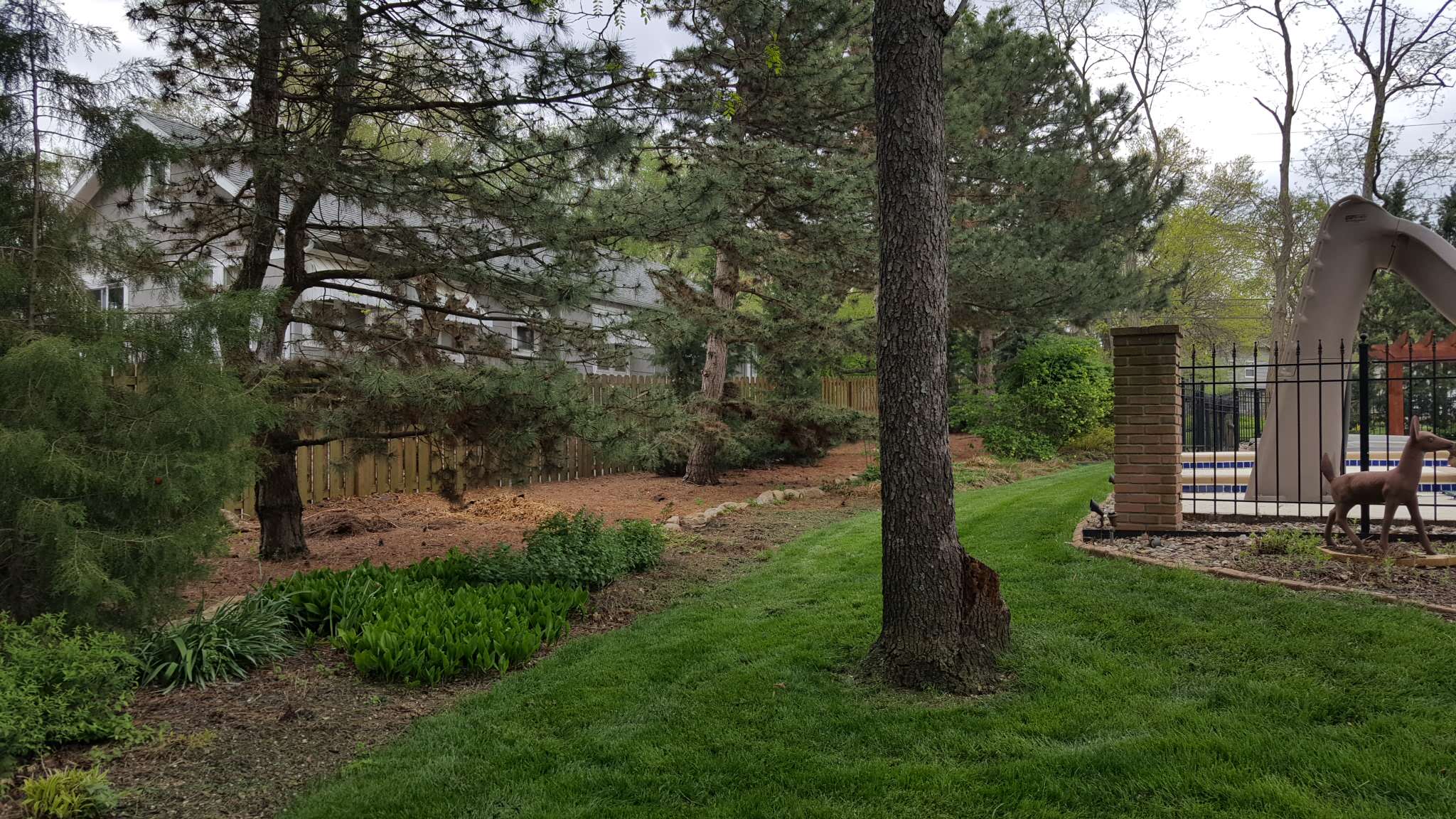 BEFORE Kansas City backyard
