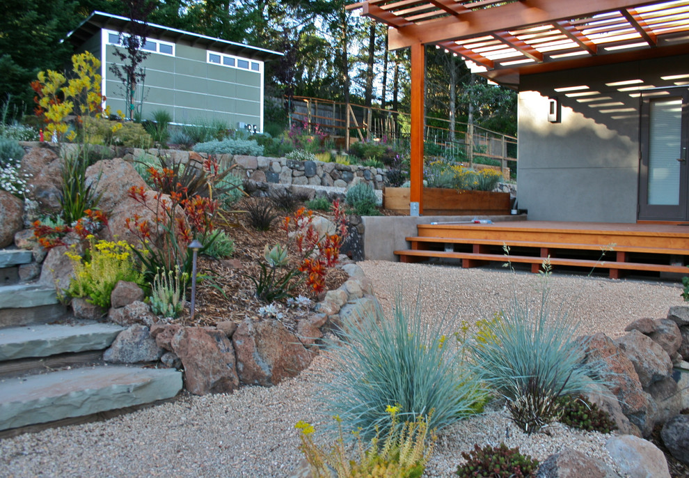 Photo of a mid-sized contemporary backyard shaded xeriscape in San Francisco with a retaining wall and gravel.
