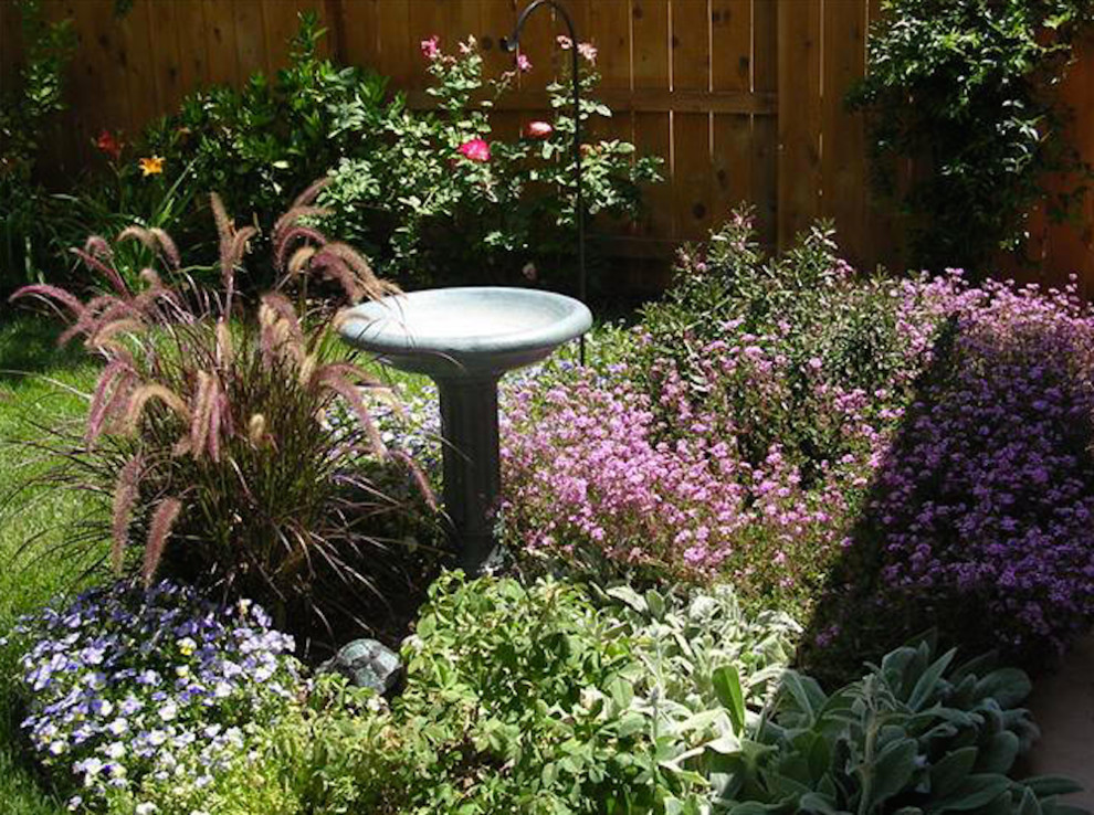 Inspiration for a small transitional backyard full sun garden in San Diego.