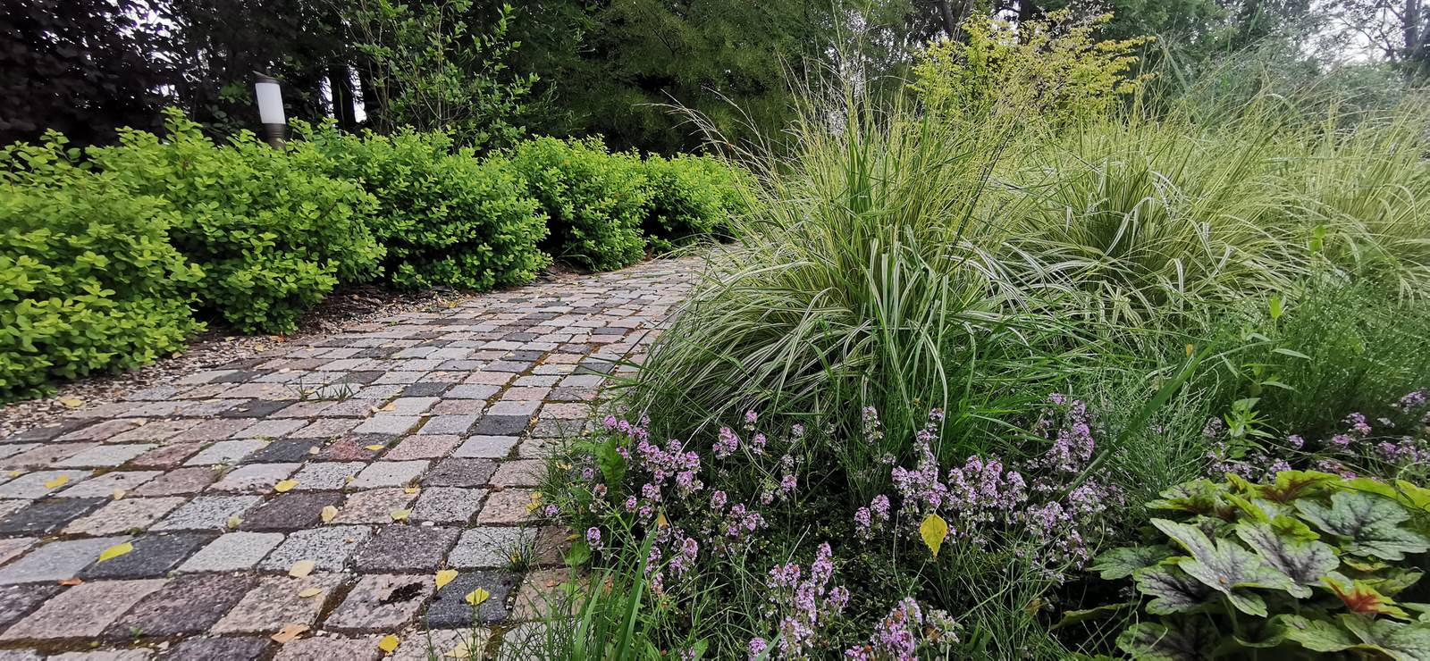 Лесное озеро