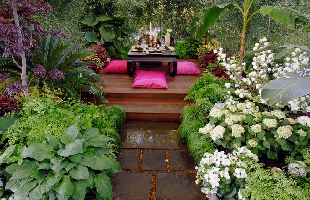 Inspiration for a tropical garden in Cleveland.