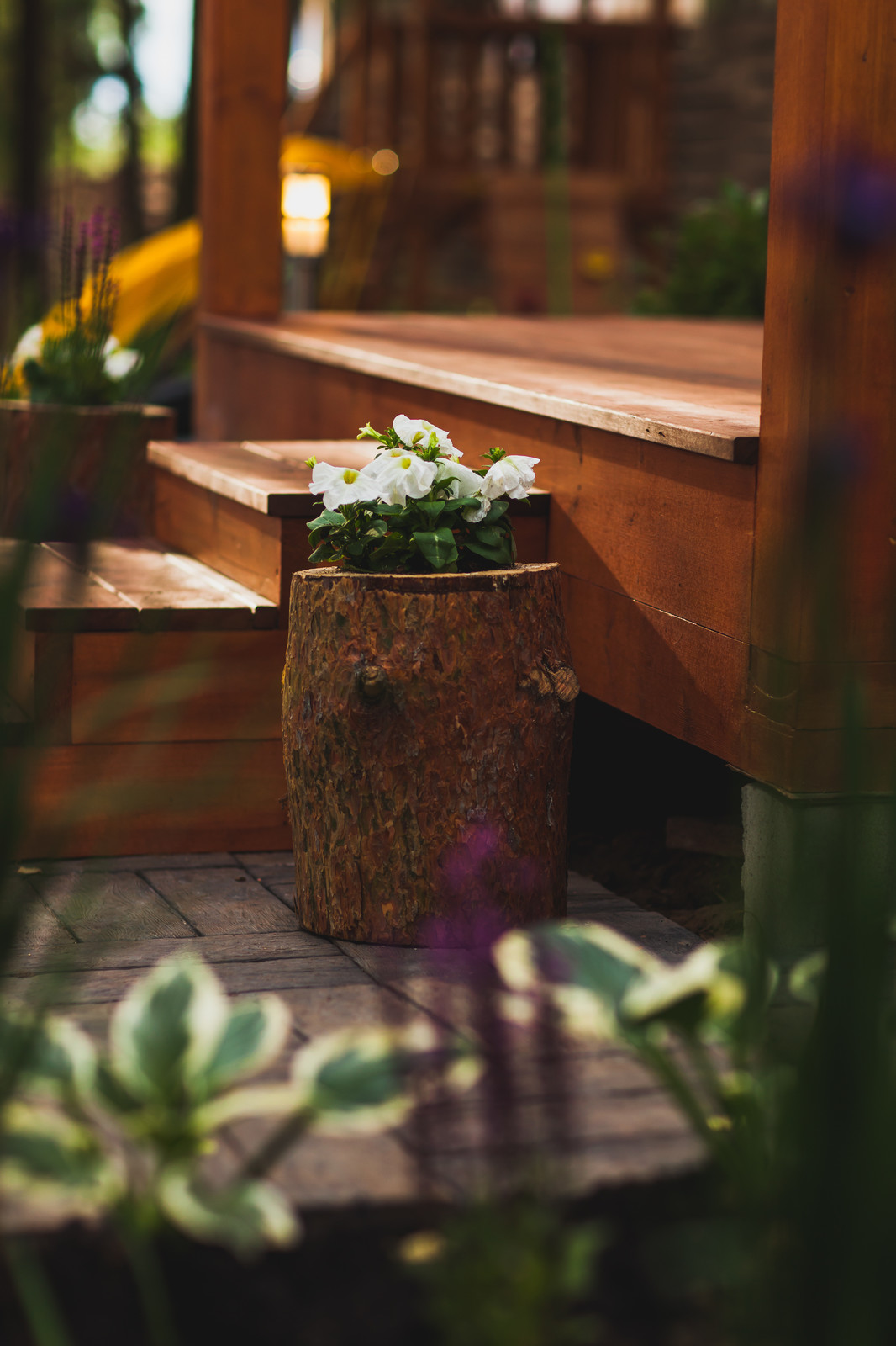 Беседка для Татьяны Лютаевой и Агнии Дисковските