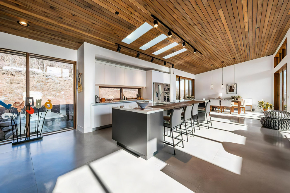 Example of a mid-sized minimalist galley concrete floor, gray floor and wood ceiling open concept kitchen design in Other with an undermount sink, flat-panel cabinets, white cabinets, quartz countertops, stainless steel appliances, an island and white countertops