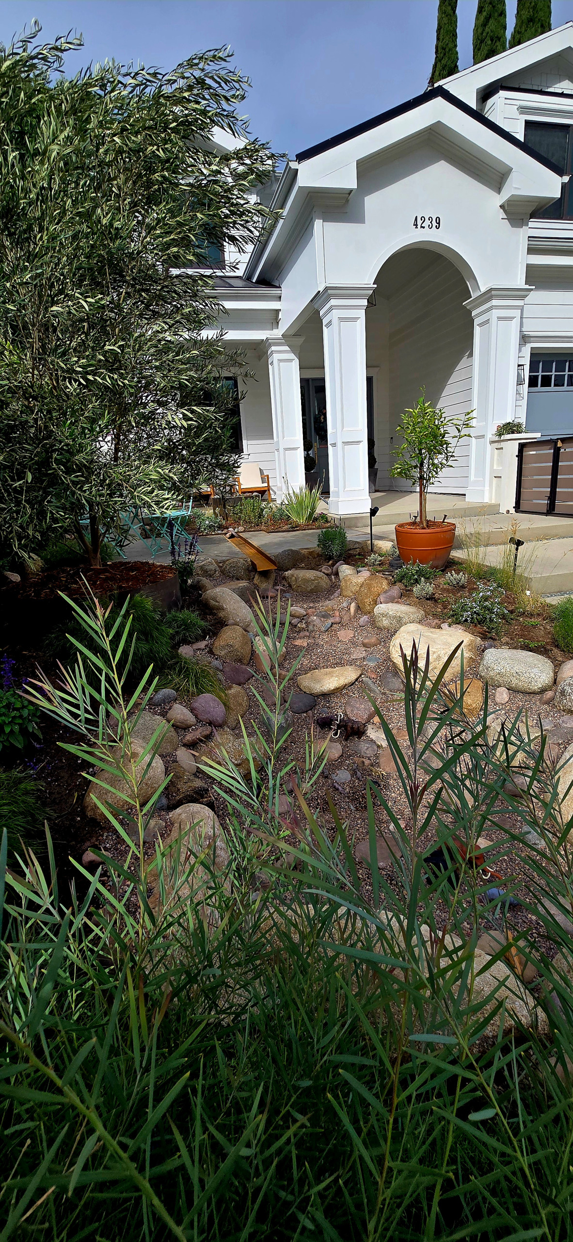 the Dry Riverbed Project