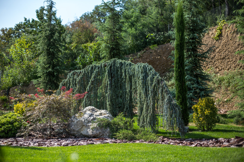 Ландшафтный Дизайн Олимпийский Сочи