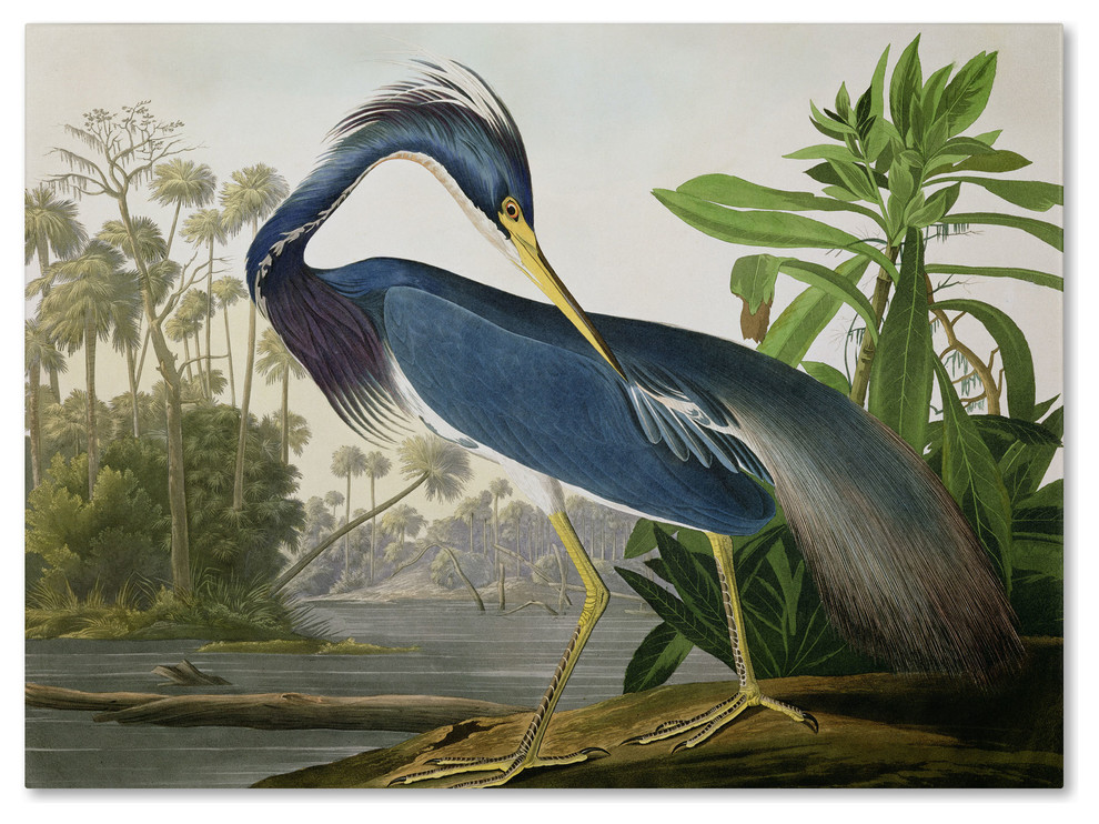 John James Audubon 'Louisiana Heron' Canvas Art, 24x32