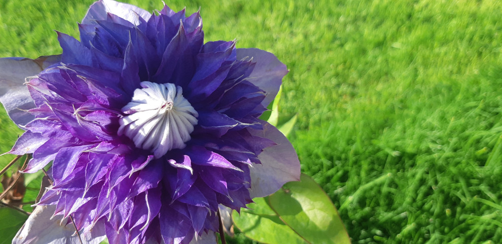 Работы выполнены в с.Южная Озереевка