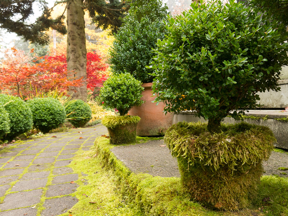 Design ideas for a traditional landscaping in Seattle.