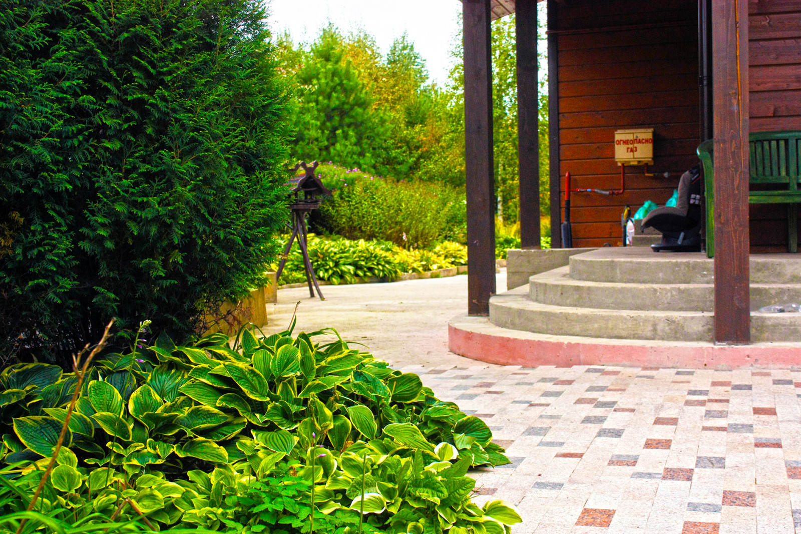 Внутренний дворик и цветник из теневых многолетников.